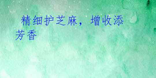 精细护芝麻,增收添芳香