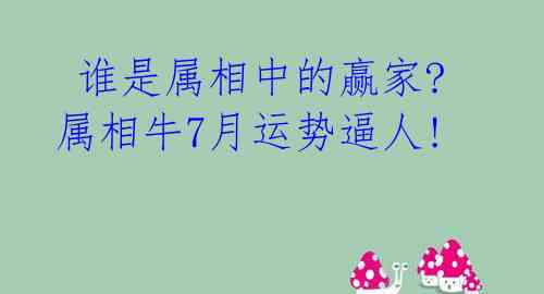  谁是属相中的赢家? 属相牛7月运势逼人! 