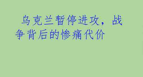  乌克兰暂停进攻，战争背后的惨痛代价