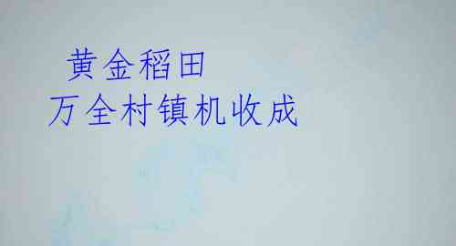  黄金稻田 万全村镇机收成