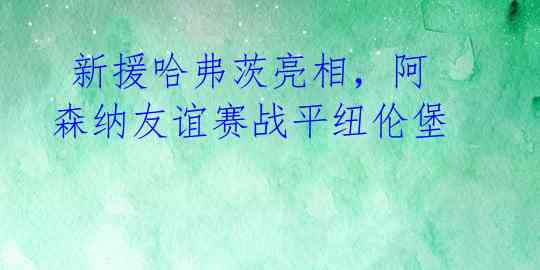  新援哈弗茨亮相，阿森纳友谊赛战平纽伦堡 