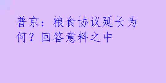 普京:粮食协议延长为何?回答意料之中