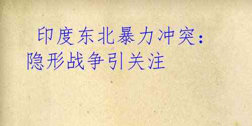 印度东北暴力冲突:隐形战争引关注
