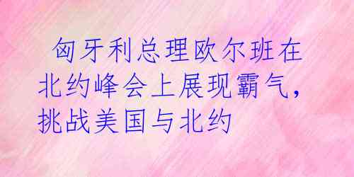  匈牙利总理欧尔班在北约峰会上展现霸气，挑战美国与北约 