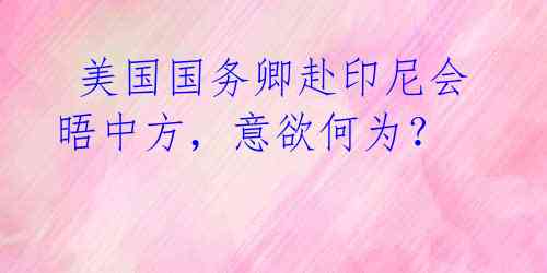 美国国务卿赴印尼会晤中方,意欲何为?