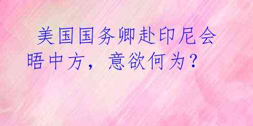  美国国务卿赴印尼会晤中方，意欲何为？ 