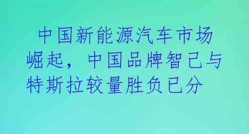  中国新能源汽车市场崛起，中国品牌智己与特斯拉较量胜负已分 