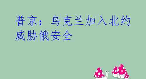普京:乌克兰加入北约威胁俄安全