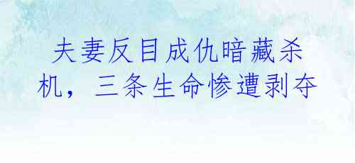 夫妻反目成仇暗藏杀机,三条生命惨遭剥夺