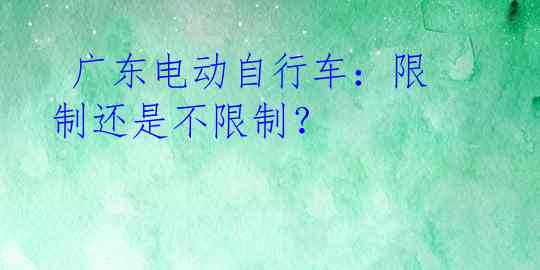  广东电动自行车：限制还是不限制？ 