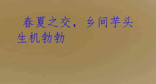  春夏之交，乡间芋头生机勃勃