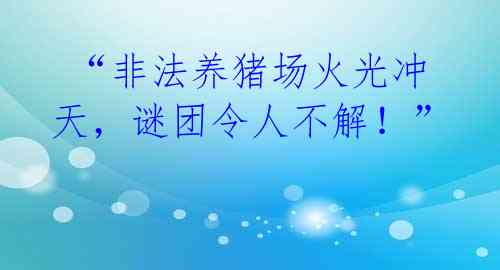  “非法养猪场火光冲天，谜团令人不解！”