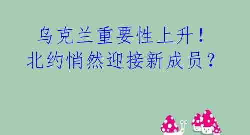  乌克兰重要性上升！北约悄然迎接新成员？ 