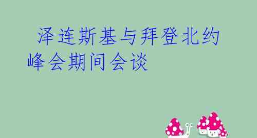  泽连斯基与拜登北约峰会期间会谈 