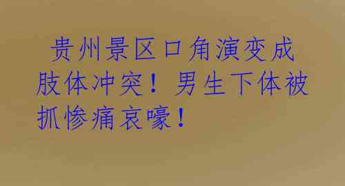 贵州景区口角演变成肢体冲突!男生下体被抓惨痛哀嚎!