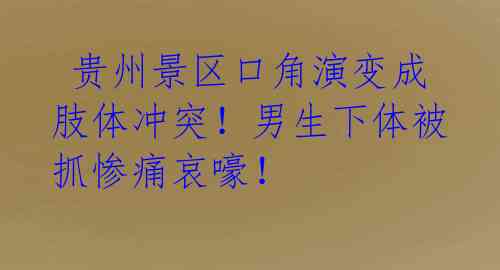  贵州景区口角演变成肢体冲突！男生下体被抓惨痛哀嚎！ 