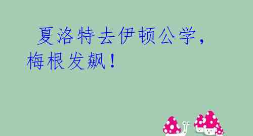 夏洛特去伊顿公学,梅根发飙!