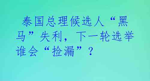  泰国总理候选人“黑马”失利，下一轮选举谁会“捡漏”？ 