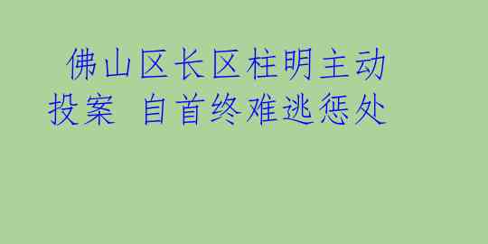 佛山区长区柱明主动投案 自首终难逃惩处