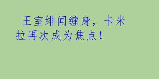 王室绯闻缠身,卡米拉再次成为焦点!