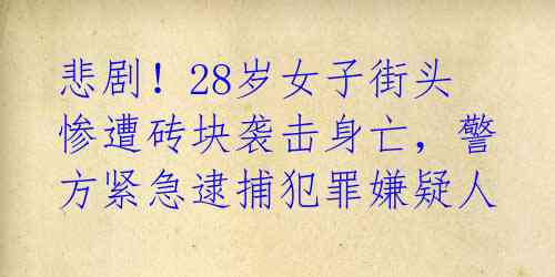 悲剧!28岁女子街头惨遭砖块袭击身亡,警方紧急逮捕犯罪嫌疑人