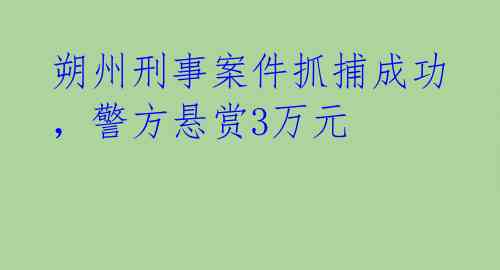 朔州刑事案件抓捕成功,警方悬赏3万元