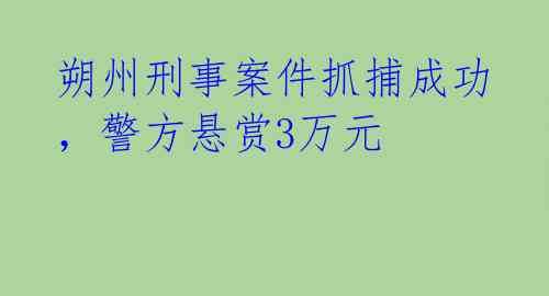 朔州刑事案件抓捕成功，警方悬赏3万元 