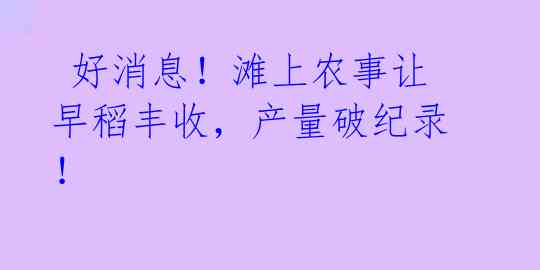  好消息！滩上农事让早稻丰收，产量破纪录！