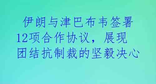  伊朗与津巴布韦签署12项合作协议，展现团结抗制裁的坚毅决心