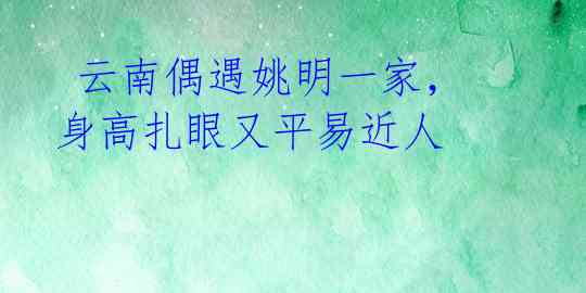 云南偶遇姚明一家,身高扎眼又平易近人
