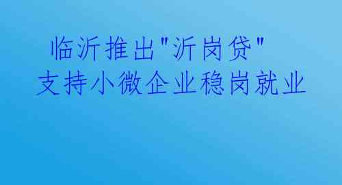临沂推出"沂岗贷" 支持小微企业稳岗就业