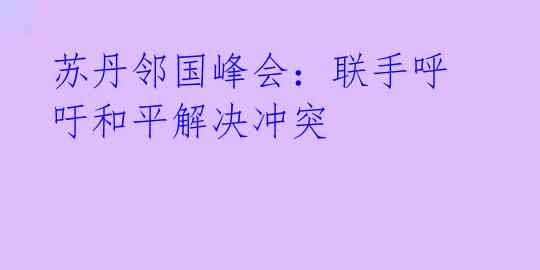 苏丹邻国峰会:联手呼吁和平解决冲突
