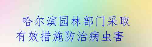 哈尔滨园林部门采取有效措施防治病虫害