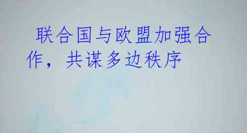 联合国与欧盟加强合作,共谋多边秩序