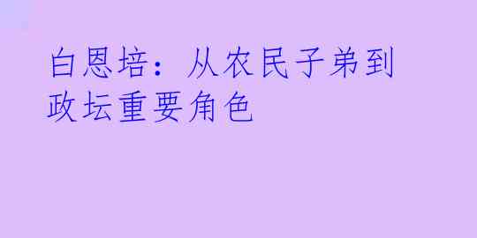 白恩培：从农民子弟到政坛重要角色 