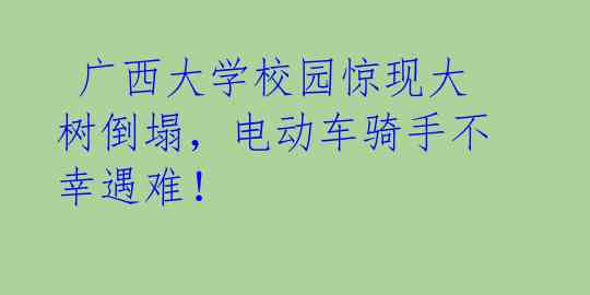 广西大学校园惊现大树倒塌,电动车骑手不幸遇难!