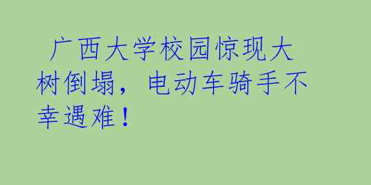  广西大学校园惊现大树倒塌，电动车骑手不幸遇难！ 