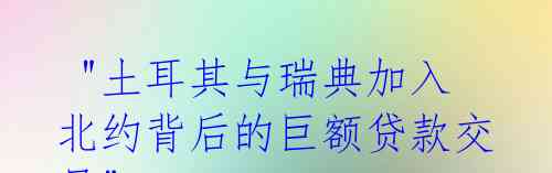 "土耳其与瑞典加入北约背后的巨额贷款交易"