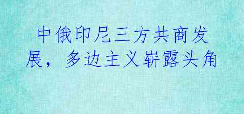中俄印尼三方共商发展,多边主义崭露头角