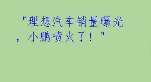 "理想汽车销量曝光,小鹏喷火了! "