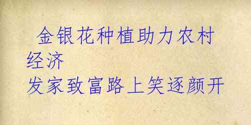 金银花种植助力农村经济 发家致富路上笑逐颜开