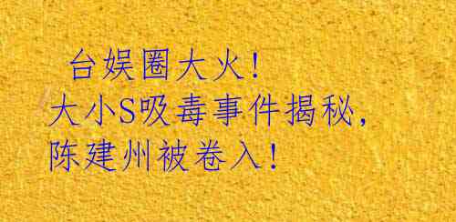  台娱圈大火! 大小S吸毒事件揭秘, 陈建州被卷入! 