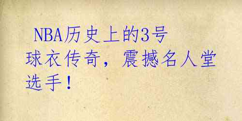 NBA历史上的3号球衣传奇,震撼名人堂选手!