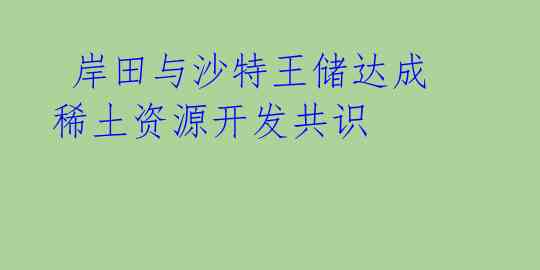 岸田与沙特王储达成稀土资源开发共识