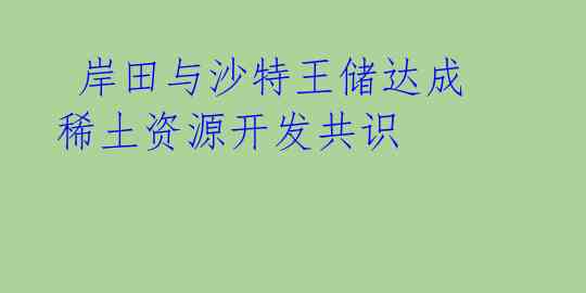  岸田与沙特王储达成稀土资源开发共识 