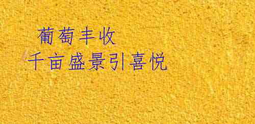 葡萄丰收 千亩盛景引喜悦