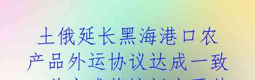 土俄延长黑海港口农产品外运协议达成一致,普京或将访问土耳其!