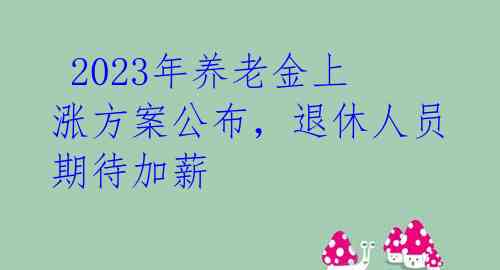 2023年养老金上涨方案公布,退休人员期待加薪