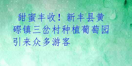  甜蜜丰收！新丰县黄磜镇三岔村种植葡萄园引来众多游客 