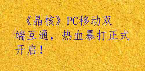  《晶核》PC移动双端互通，热血暴打正式开启！ 